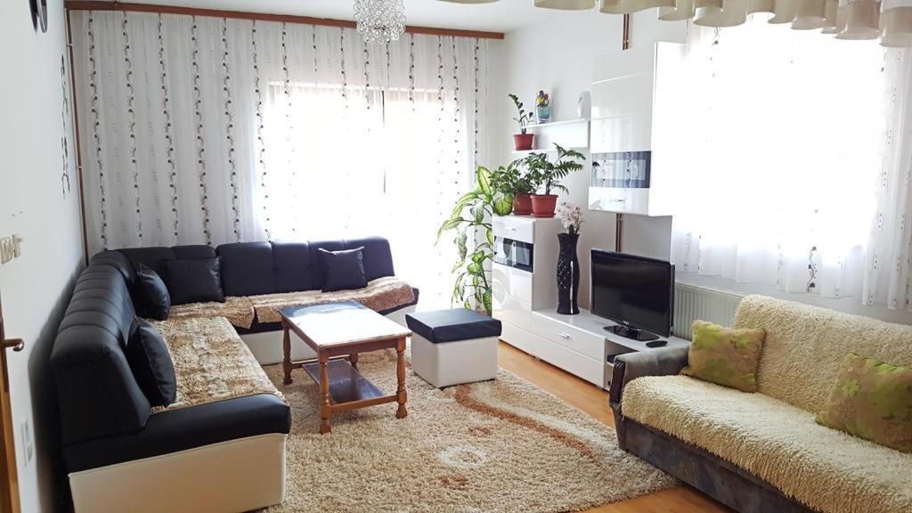 Apartment Kuc *